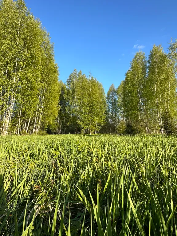 Коттедж Дом с террасой на берегу реки — Логиново