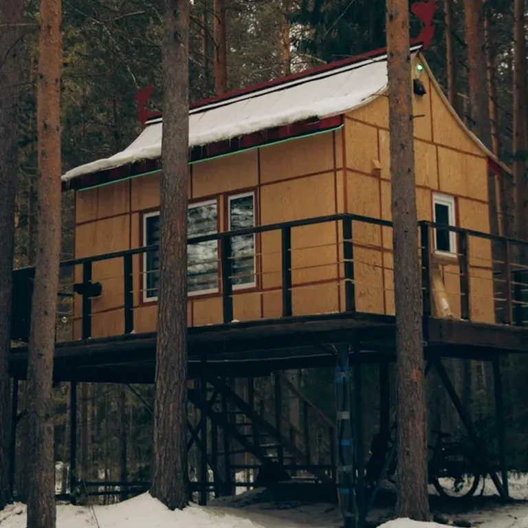 Дом тигра до 5-ти человек