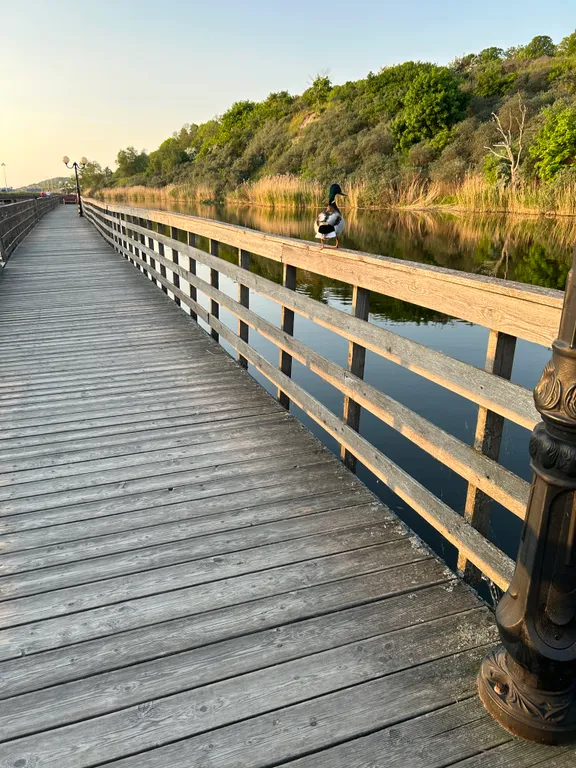 Уютная квартира на первой линии от моря