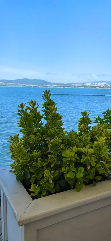 Квартира Квартира Евродвушка с видом на море — Геленджик