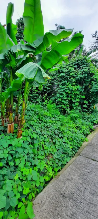 Уютная квартира в курортном городке недалеко от моря и инт.объектов