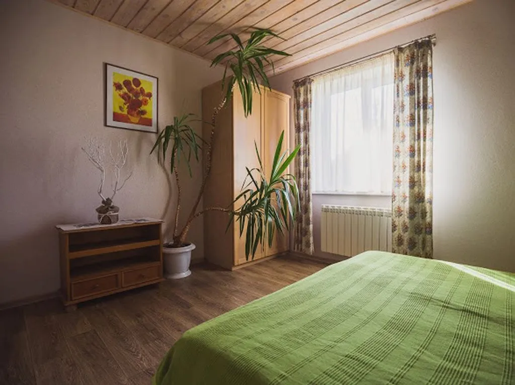 Шале под Минском