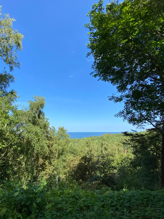 Квартира Апартаменты у моря — Светлогорск