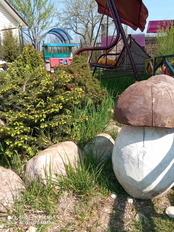 Коттедж на озере Нарочь