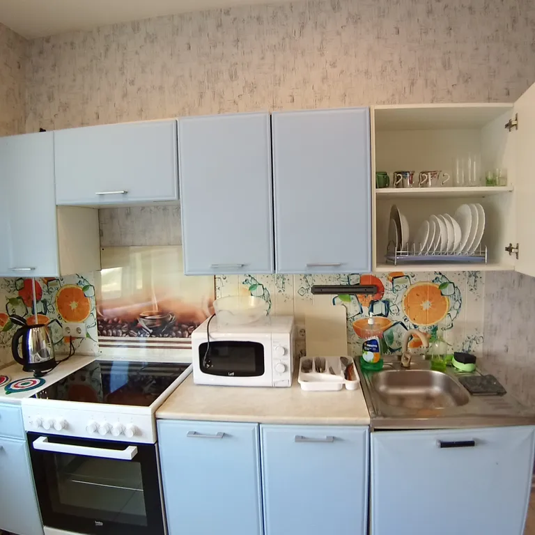 Квартира Просторная квартира — Санкт-Петербург