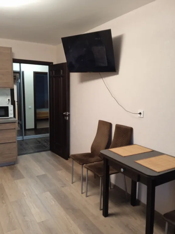 Квартира 1-комнатная квартира с кухней-гостинной в центре города — Ярославль