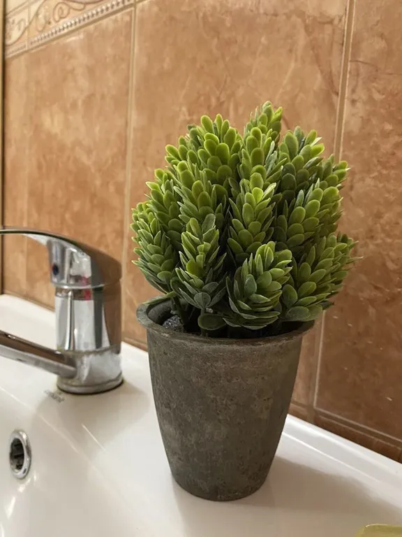 Уютная студия в ЖК Платоновский