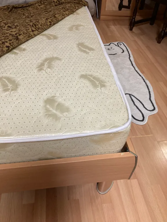 Квартира в хвойном лесу