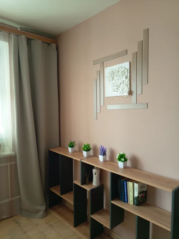 Квартира в центре Древлянки