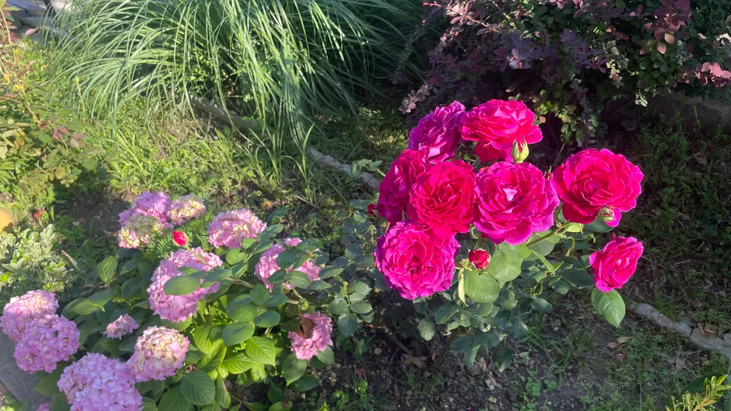 Весь 1-й этаж в частном доме в 400 м от моря, с мангалом и бассейном