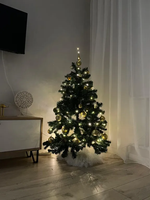 Уютный апартамент на родине деда мороза