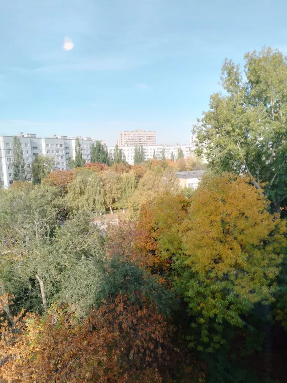 Уютная квартира-эконом