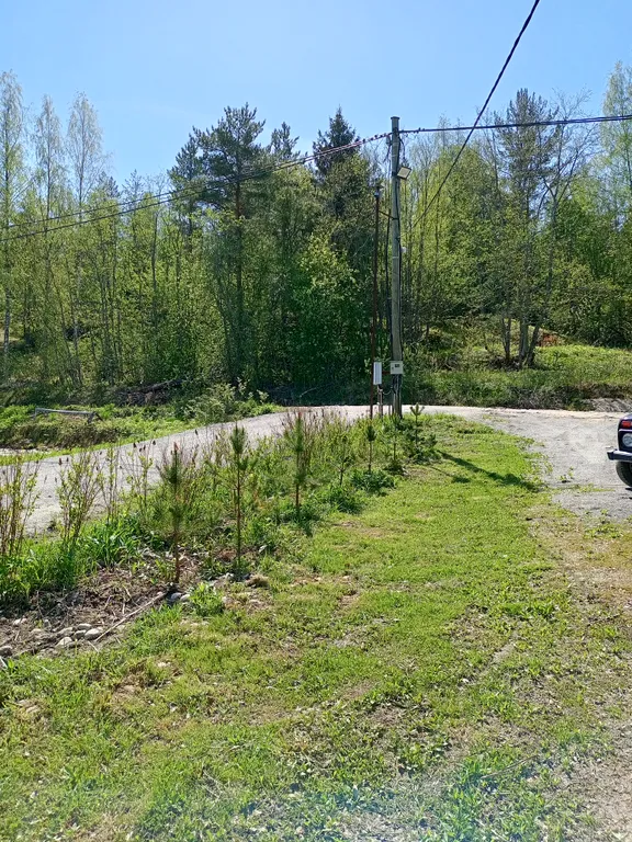 Дом на берегу ладожского озера, в живописном месте
