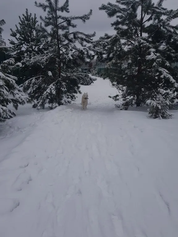 Sport Village в тихом и уютном месте