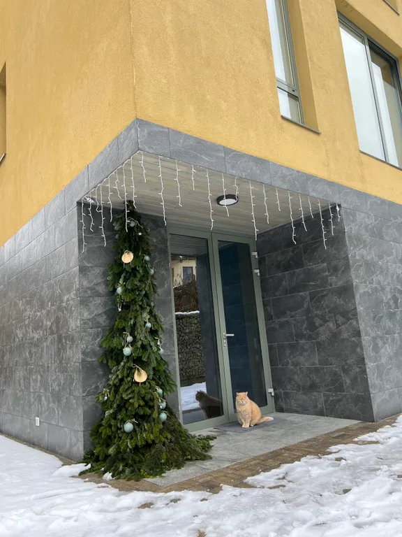 Куб-Терра студия Мини-Макс