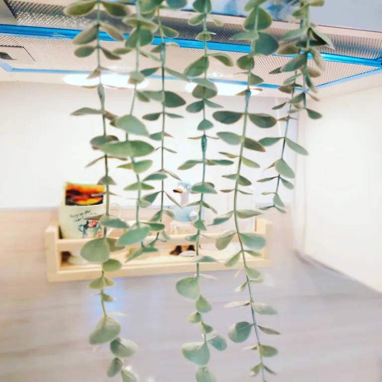 Квартира Квартира Eva appartments — Кронштадт