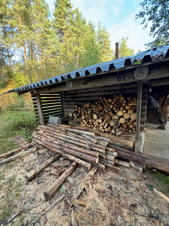 Ретро-дача с баней на берегу лесного озера