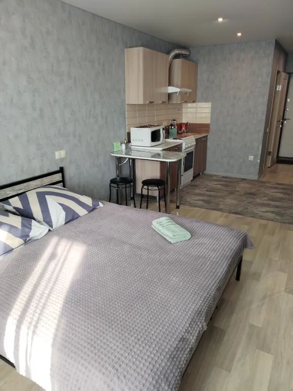 Уютная квартира-студия в Солнечном-2