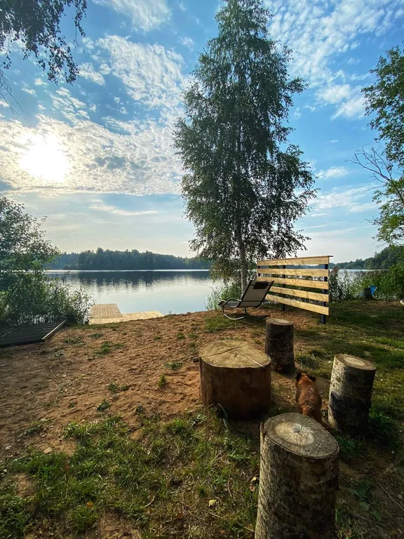 Любимый дом