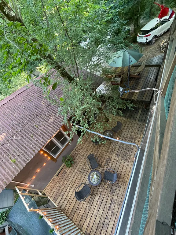 Номер с видом на лес