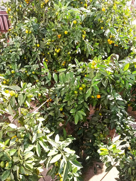 2-комнатный апартамент с кухней, ванной и всеми удобствами