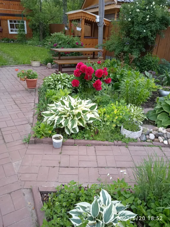 Уютный номер Маки