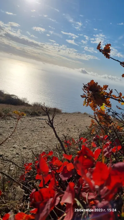 Квартира 1-комнатная квартира в центре города — Анапа