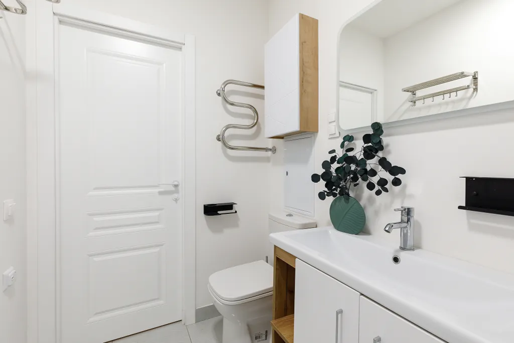 Апартаменты однокомнатный делюкс