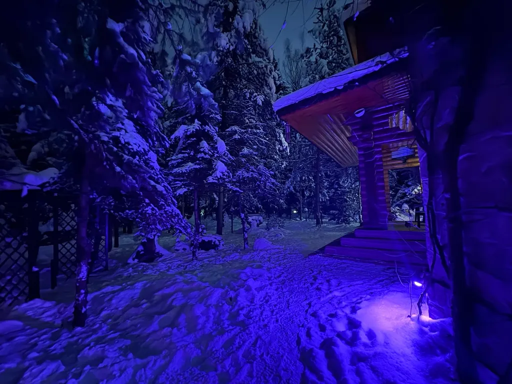 Коттедж Дом с тропическим бассейном, сауной и каминами — Московский