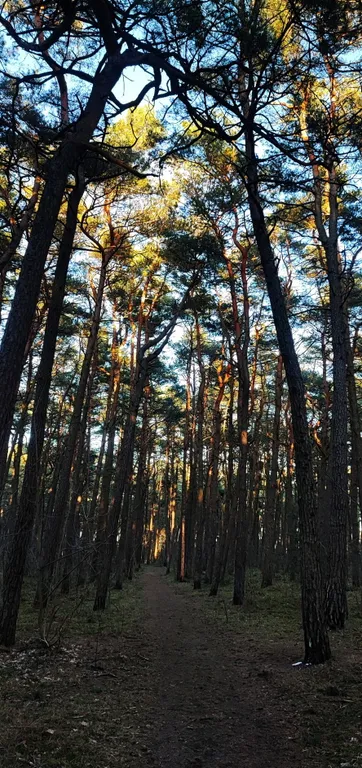 Лофт у моря