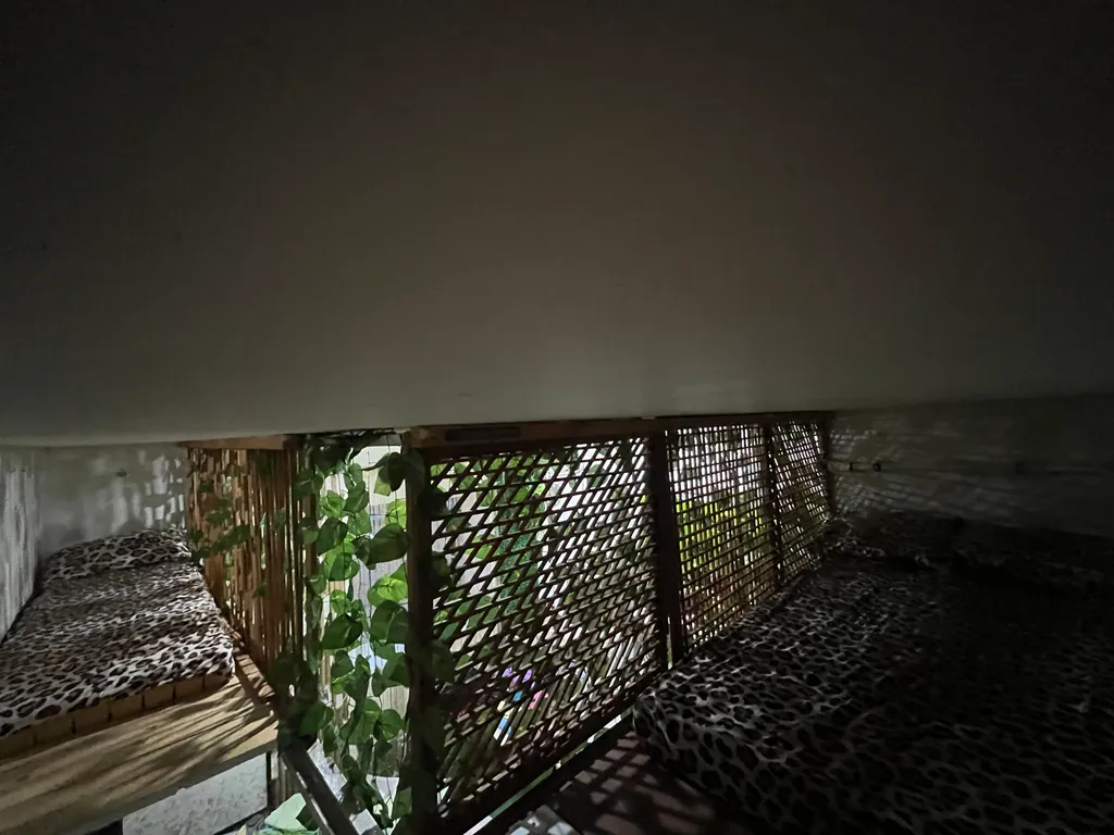 Шестиместная студия, 200 шагов до озера