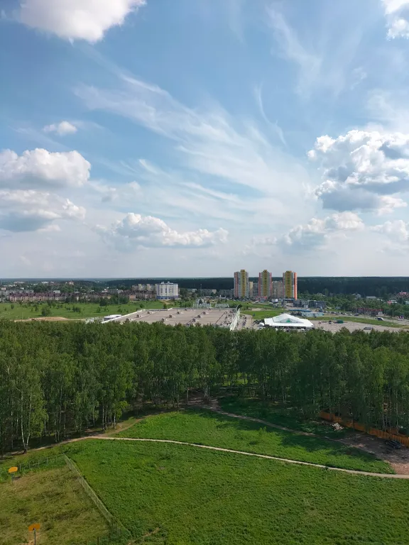 Уютная квартира с видом на берёзовую рощу