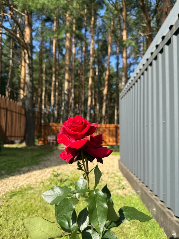 Большой треугольный домик с камином, с ванной у окна с видом на лес