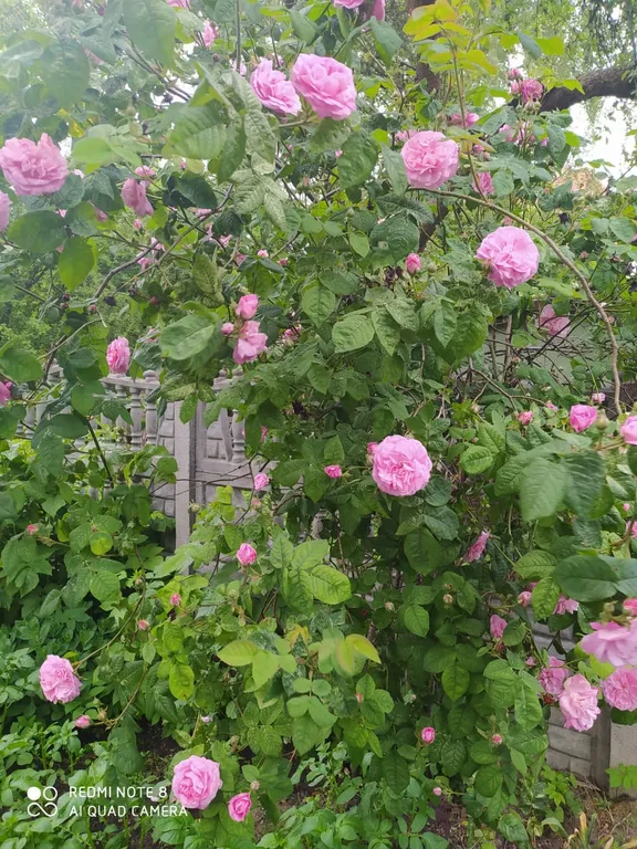 Апартаменты с парковочным местом и барбекю в самом центре