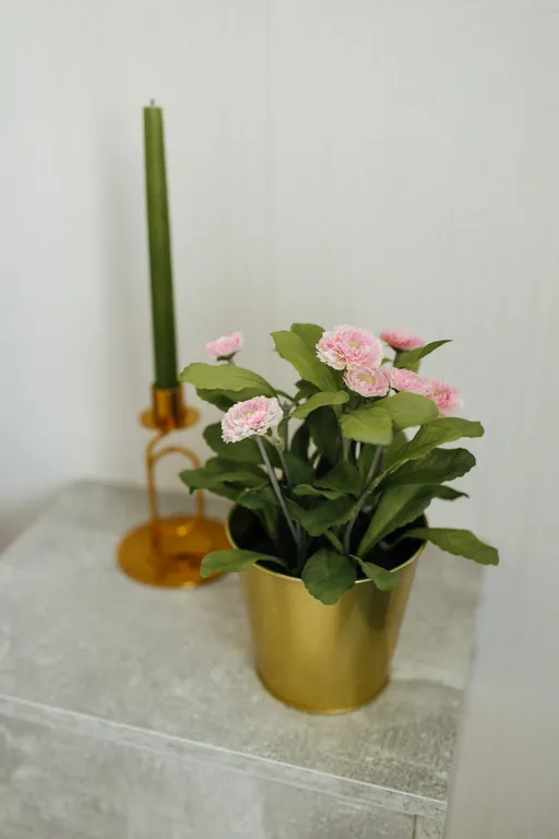 1-комнатная квартира в центре