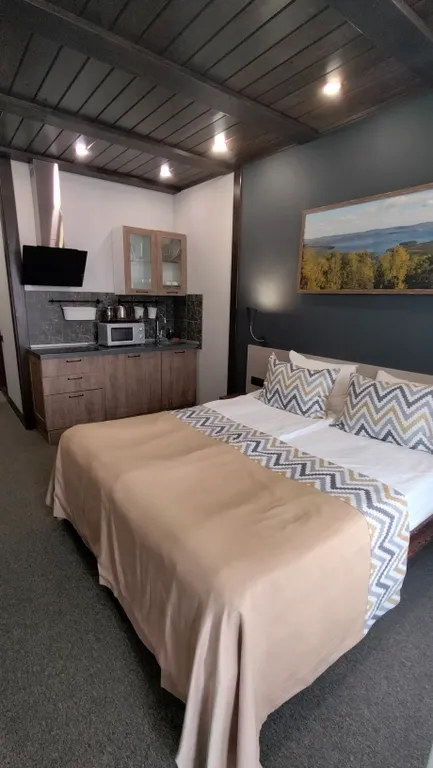 Апартамены на горнолыжном курорте Солнечная долина