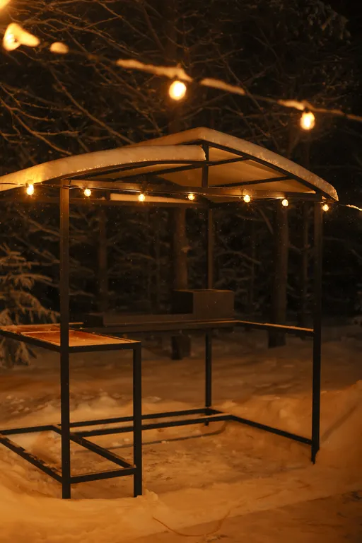 Уникальный купольный дом среди хвойного леса