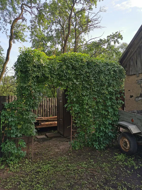 Агроусадьба в хуторской тиши с камином, сеновалом и сном на пчелах