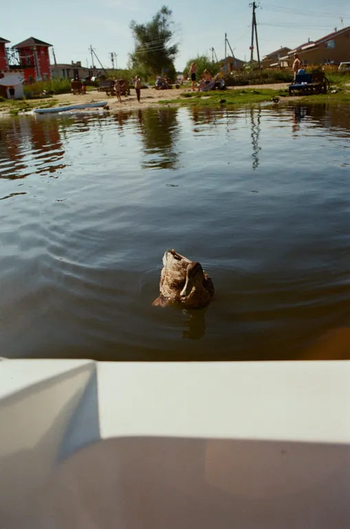 Уютный загородный дом-баня у озера