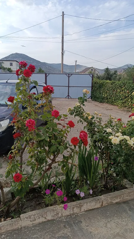 Отдых в зелёной зоне Судака, экологически чистый, тихий район