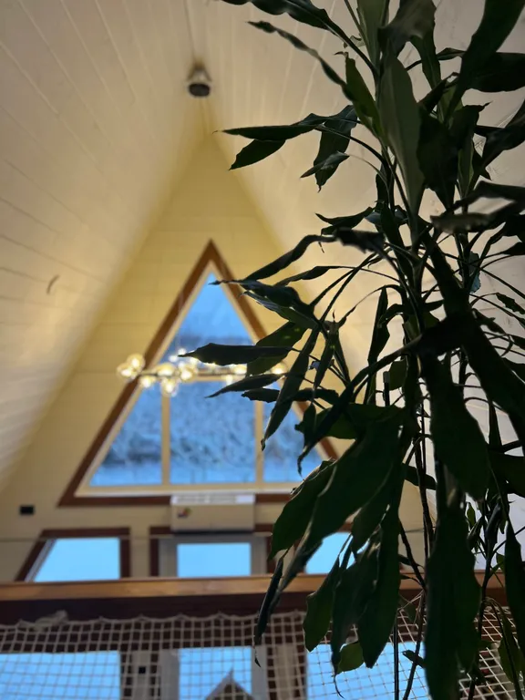 Современный треугольный эко дом