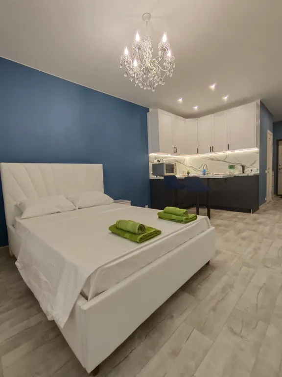 Уютная студия в Старой Купавне