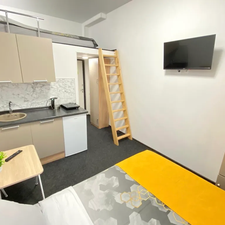 Квартира Квартира Апартамент Нижний Ораниенбаум Двухуровневая студия — Ломоносов