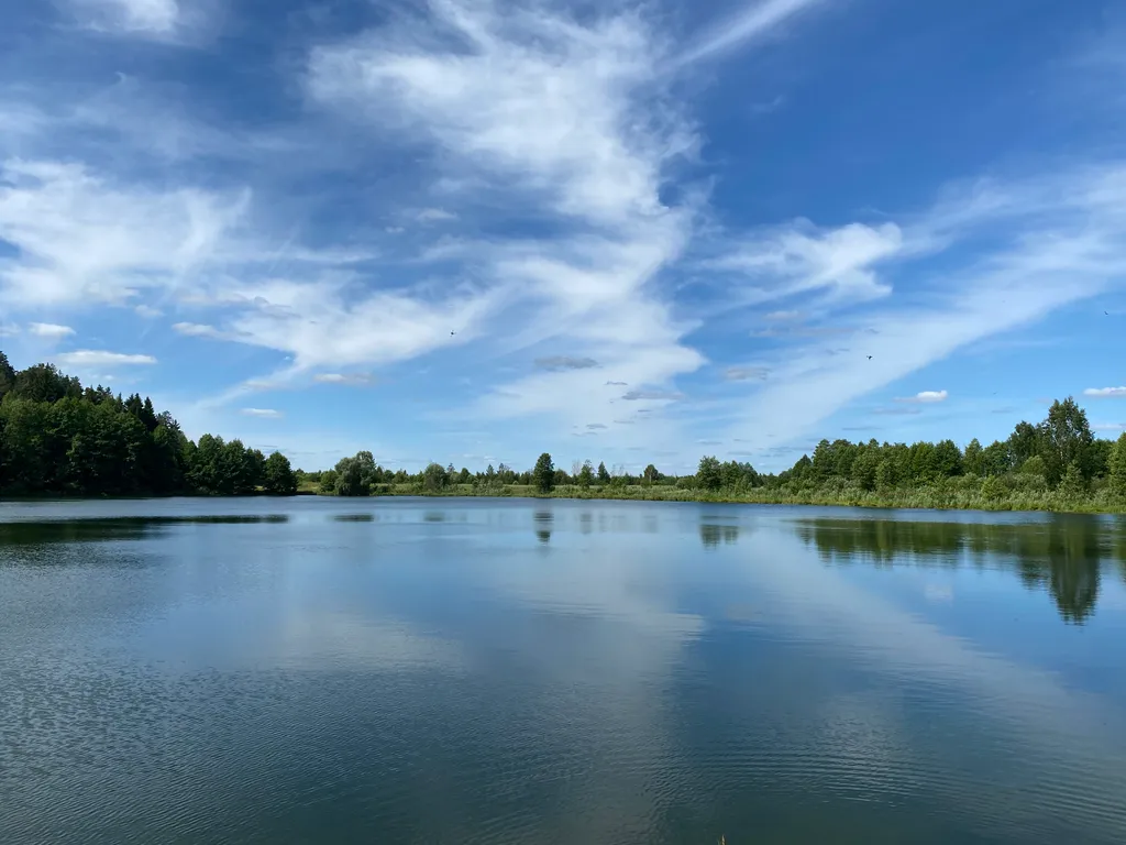 Уютный барн-хаус у леса с купелью и баней