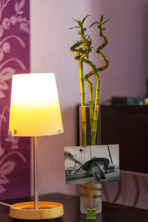 Family home Voykovskaya apartment with parking