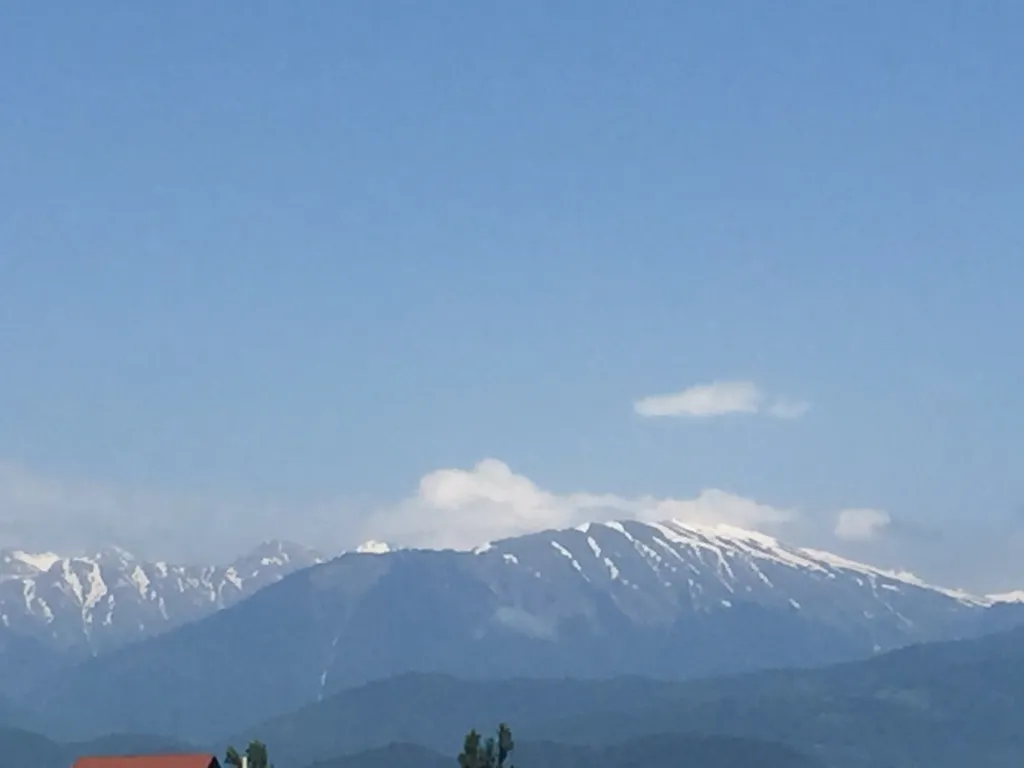 Отдых в Абхазии у моря