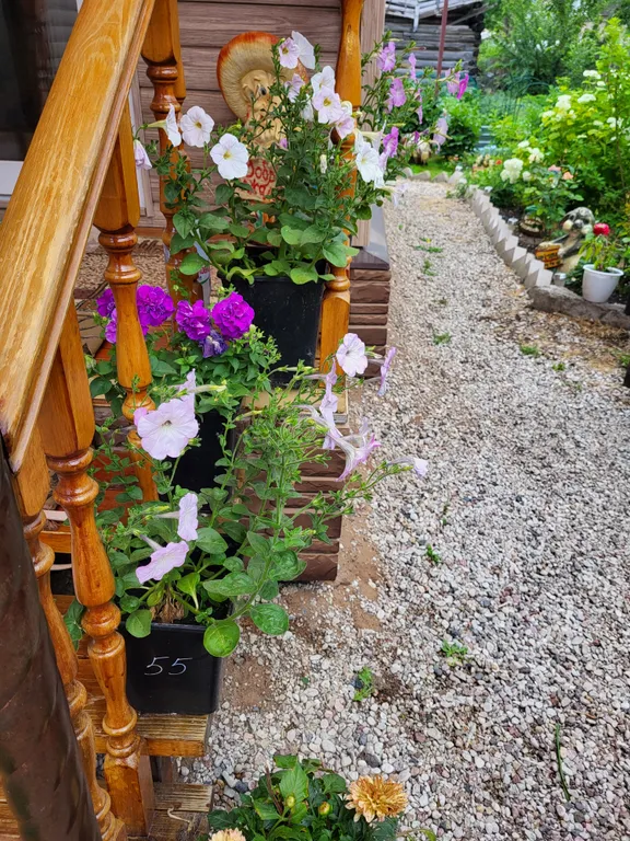 Частный дом недалеко от центра города