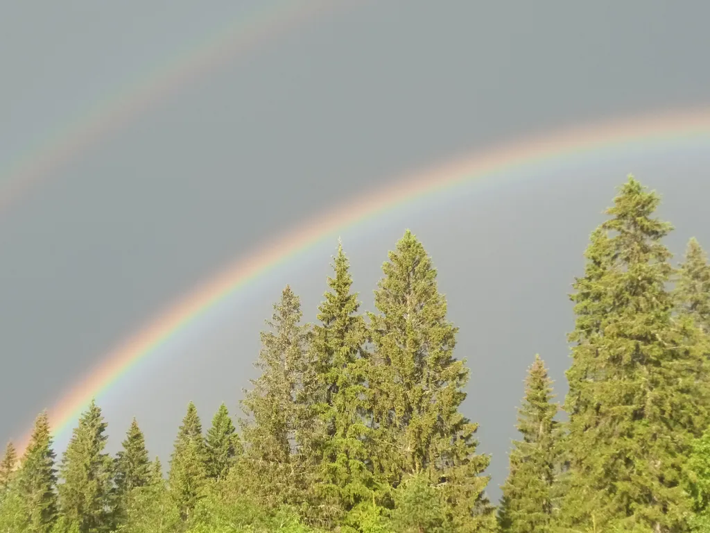 Дом с баней