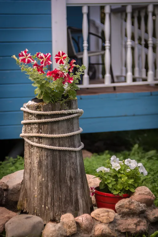 Пень да Соль