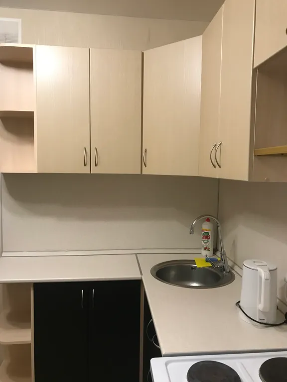 Уютная однокомнатная квартира в Заозерном